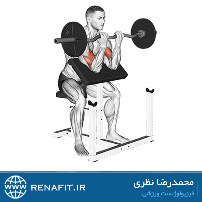 جلو بازو هالتر لاری نشسته