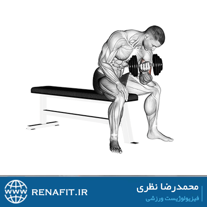 جلو بازو دمبل تک خم