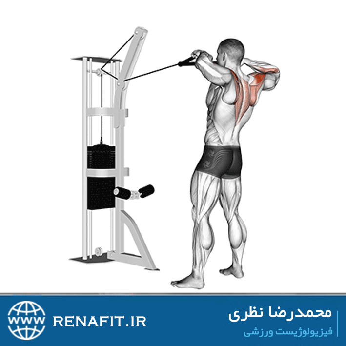 فیس پول طناب ایستاده