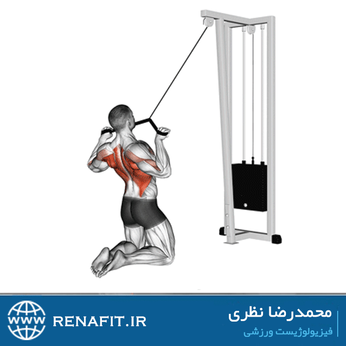 فیس پول نشسته